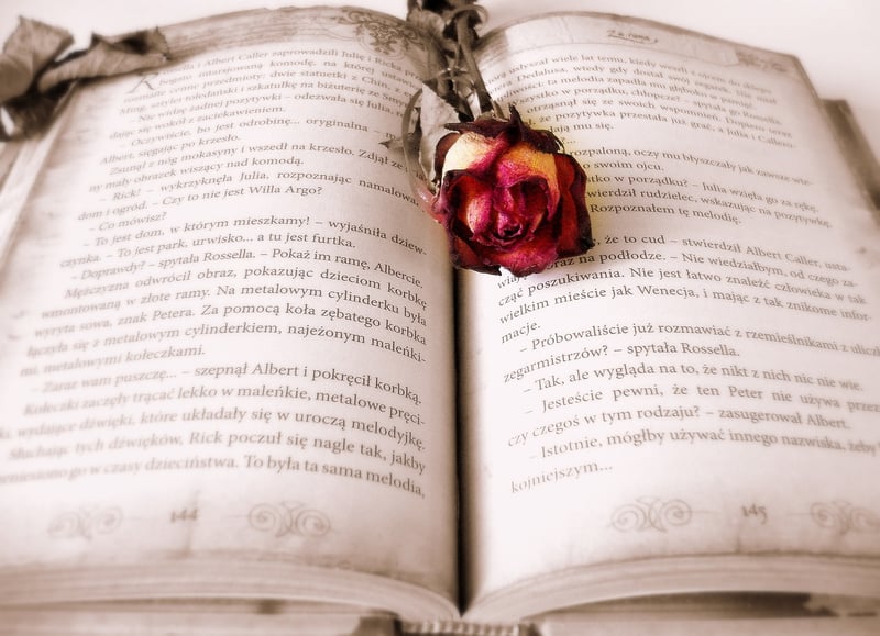 Upcycled Book Sculptures